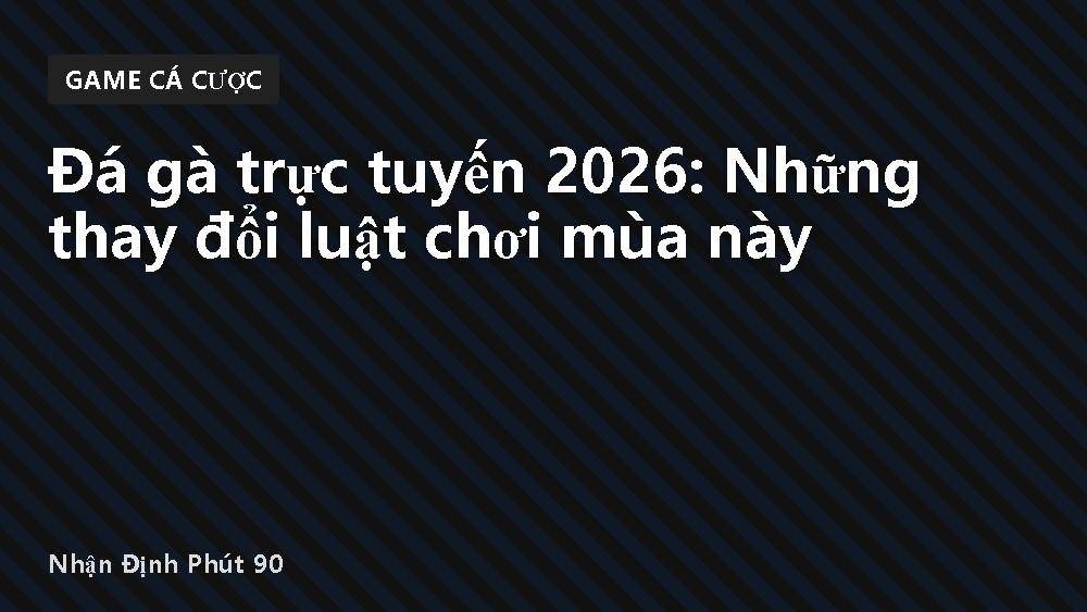 Đá gà trực tuyến 2026: Những thay đổi luật chơi mùa này